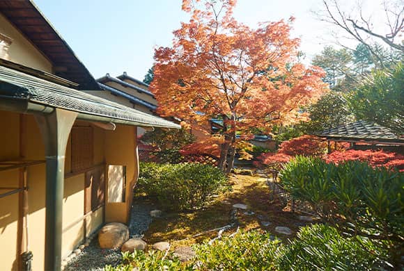 紅葉に彩られる茶室