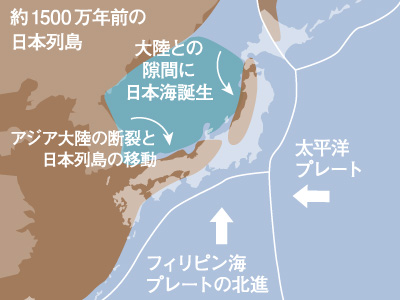 約1500万年前の日本列島