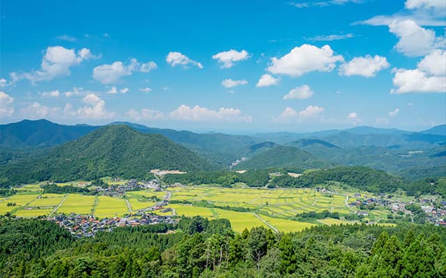 険しい山に囲まれる但馬地方では、他地域の牛との交配が難しく、純血のまま受け継がれてきました。現在では厳格な管理の下、優れた血統の継承が行われています。