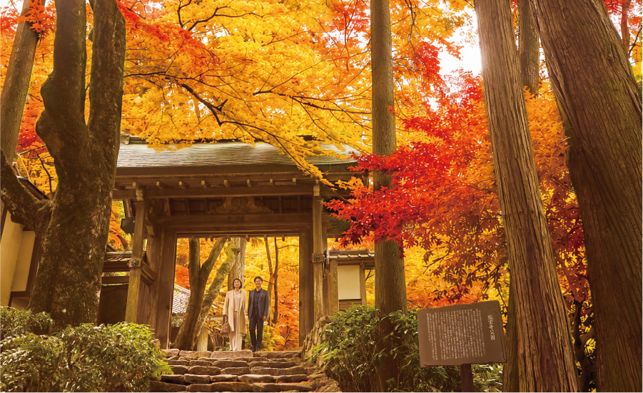 瑞宝寺公園