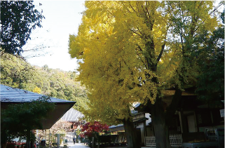 清荒神清澄寺