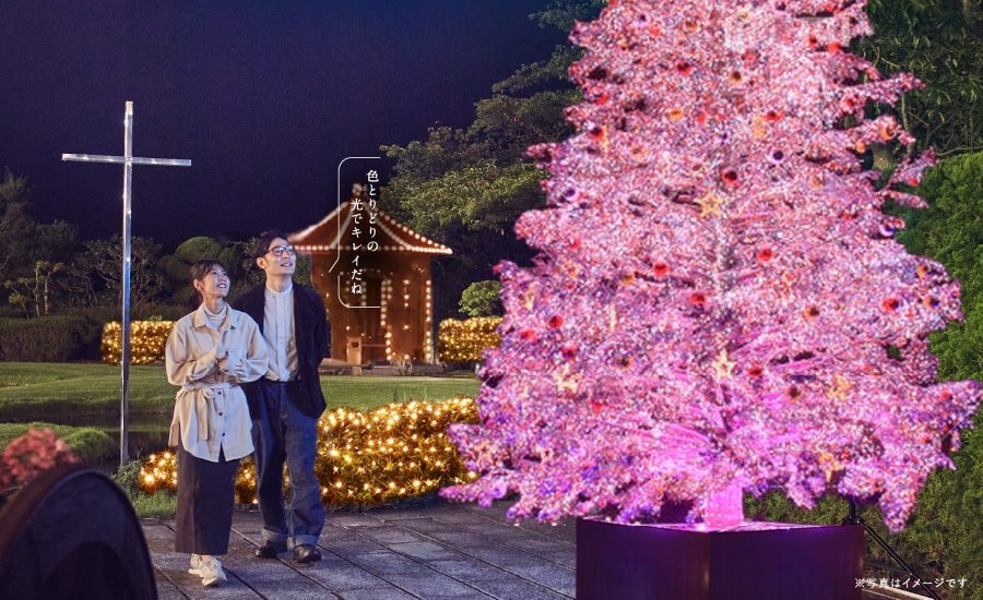 有馬の夜を照らす光のツリー