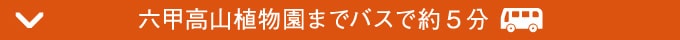 六甲山を散策しアートを鑑賞