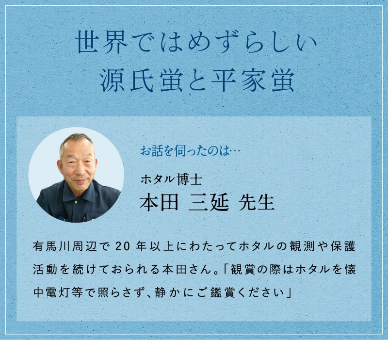 世界では珍しい源氏蛍と平家蛍