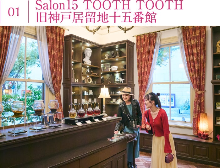 Salon15 TOOTH TOOTH