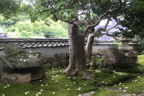 念仏寺
