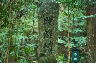 慧日寺で修行を積んだとされる不老長寿の尼僧、八百姫。その黒髪が埋められたという謂れが残る脱離憤。