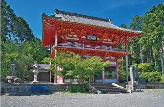 朱色の仁王門を彩る瑞々しい青もみじ。鮮やかな赤と緑のコントラストが、高山寺を象徴する美しさです。