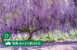 D 白毫寺 有馬GHから約55分