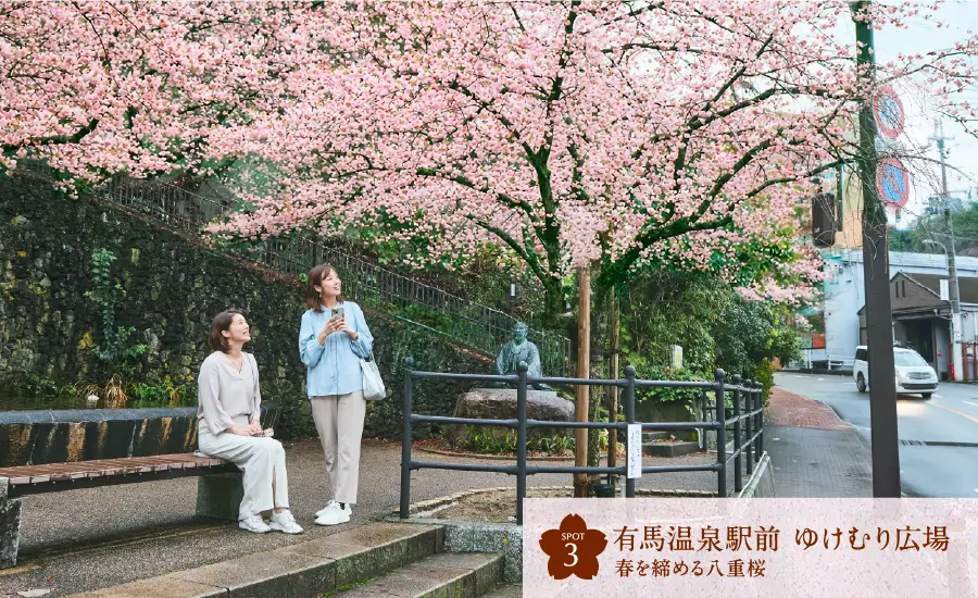 SPOT3 有馬温泉駅前 ゆけむり広場 春を締める八重桜