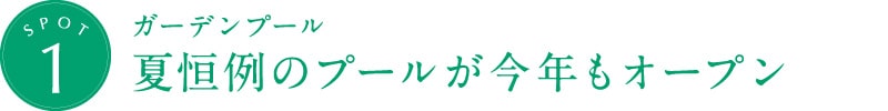 ガーデンプール 夏恒例のプールが今年もオープン