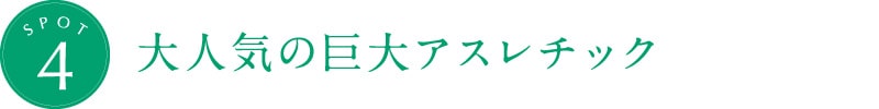 大人気の巨大アスレチック