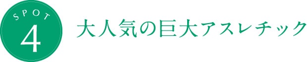 大人気の巨大アスレチック