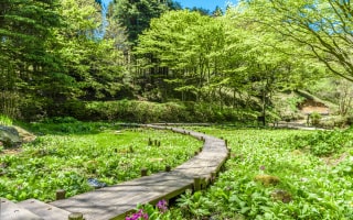 登山の疲れを温泉でゆっくり癒す