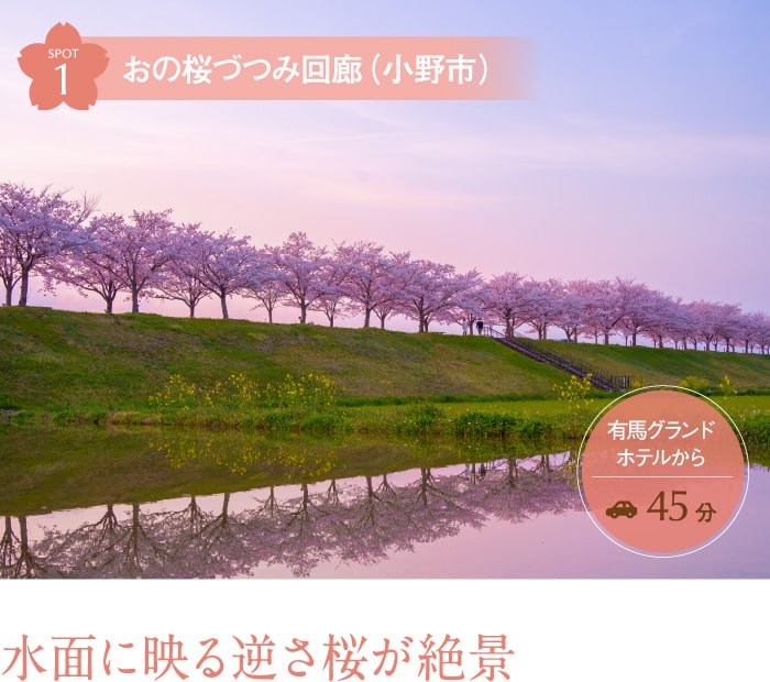 おの桜づつみ回廊（小野市） 水面に映る逆さ桜が絶景