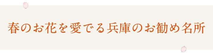 春のお花を愛でる兵庫のお勧め名所