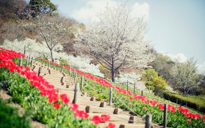 神戸布引ハーブ園