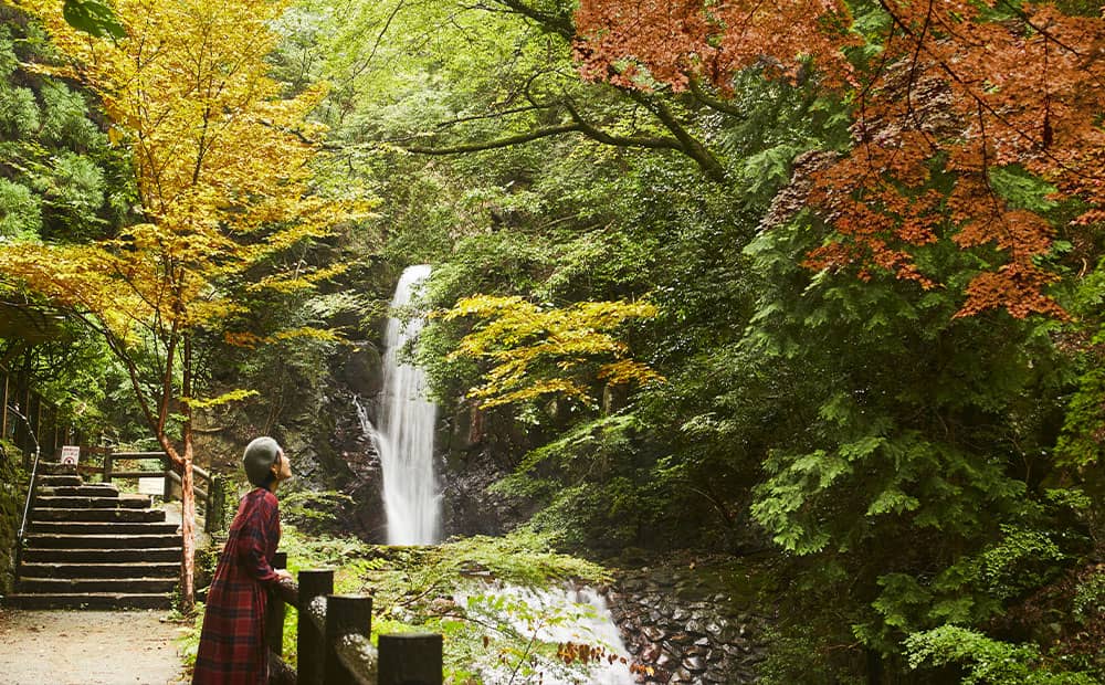 滝と紅葉をひとつの景色で