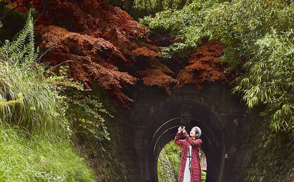 道路趣あるトンネルを包む紅葉