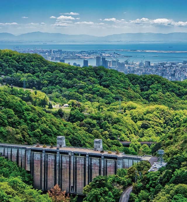 かつて「禿山」だった六甲山、百年以上にわたる再生の物語